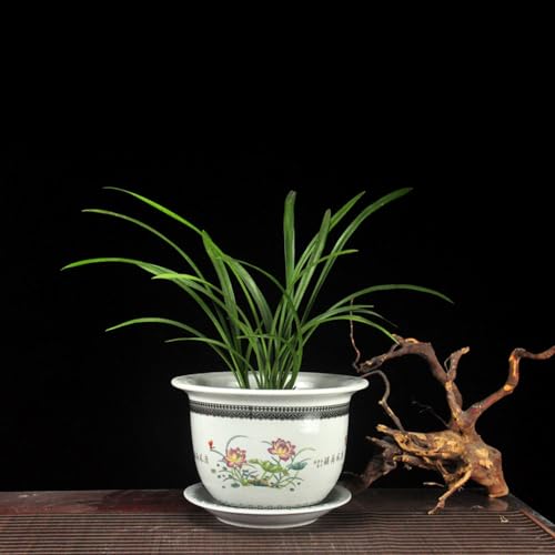 セラミックプランターポット - パステルカラーの磁器製装飾植木鉢 排水穴付き 盆栽植物用 花 アロエ 屋内 ホームデコレーション 28*20cm