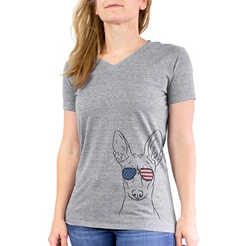 Inkopious Patriotic Ruadh The Pharaoh Hound Women's Triblend T-Shirt Modern Fit V-Neck Large Grey