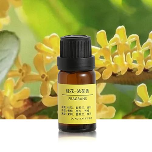 Diffuseur de parfum pour voiture blanc sphérique et humidificateur compact pour bureau