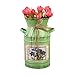 SUCHUANGUANG Idyllique Rustique Arrangement De Fleurs Seau Fer Vintage Vase À Fleurs Plantation Cruche Bonsaï Bassin