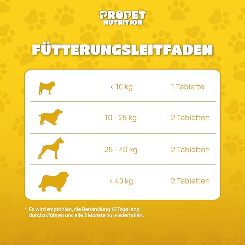 W-kur Hund Natürliche Abwehr gegen ungebetene Gäste – Darmwohl Hund – 120 Tabletten – Natürlicher Kräuterkomplex mit Probiotika & B-Vitaminen – Unterstützung des Darmmilieus & inneres Gleichgewicht