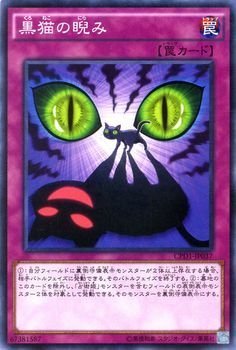 Amazon.co.jp: 遊戯王 黒猫の睨み コレクターズパック－運命の決闘者編