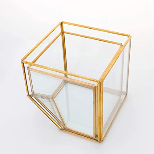ELEGANTLIFE Geometrisches Pflanzgefäß aus Glas, für Sukkulenten und Luftpflanzen, für Zuhause, Garten, Büro, Dekoration (goldfarben… – Ansicht 9