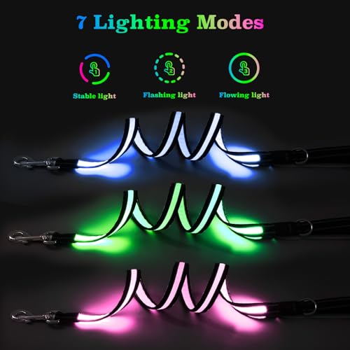 PZRLit Mehrfarbige 1.2 m LED Hundeleine–Leuchtend & Reflektierend,7 Modi Glühen im Dunkeln, Beidseitig USB-C Wiederaufladbar mit Akkuanzeige Wasserdicht Für Kleine Mittel Große Hunde, Nachtsicherheit