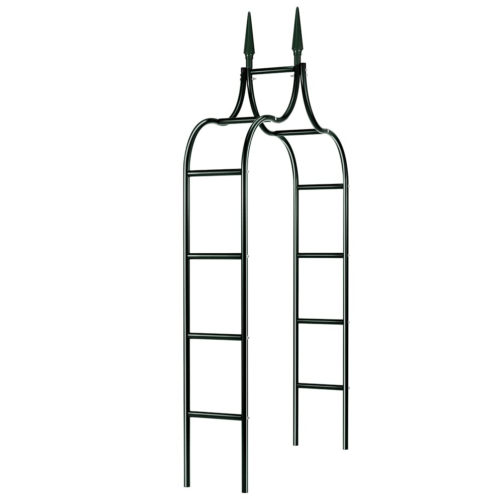 BAKAJI Arco da Giardino Supporto per Rose Piante Rampicanti in Metallo 140-170 x 38 x 240H cm Colore Verde Scuro