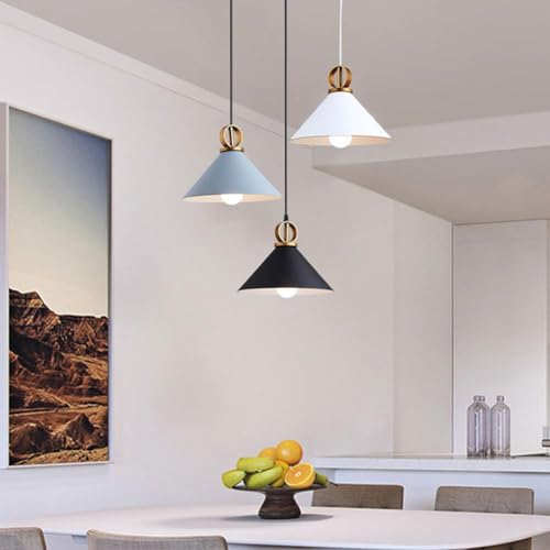 Lámpara de techo estilo granja simple para renovar la iluminación de dormitorios 3