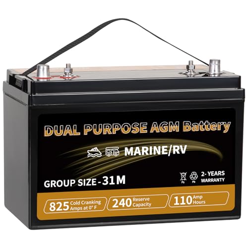 Weize BCI Group 31M AGM Dual Purpose