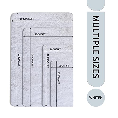 Obundi Area Rug,Shaggy Fluffy Rug,Non Slip Living Room Rugs,Washable Beige Rugs for Bedroom,Super Small Soft Carpet(Beige,90×160 cm) - Image 3
