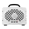 Turtlebox Original Gen 3: Portable Outdoor Bluetooth Speaker – Ultra-Loud (120dB), Waterproof (IP67), Rugged, Impact-Resistant, 3-Day Battery | Party Mode: Unlimited Pairing for Stereo Sound, White