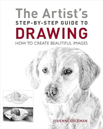 The Artist's Step-by-Step Guide to Drawing: How to Create Beautiful Images-Wow! eBook