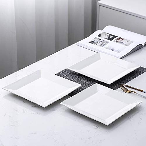 Porlien Classic Square 9.7-Inch Dinner Plate Set Of 3 #TOP1