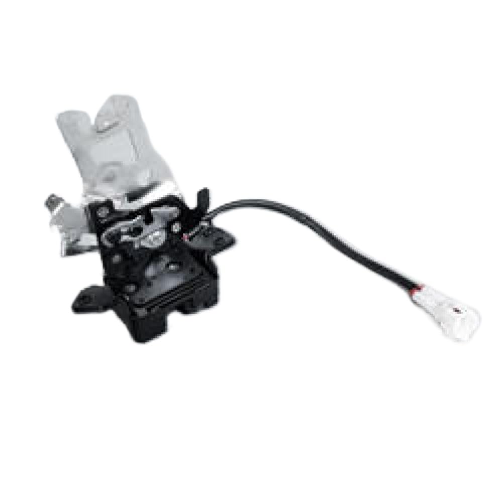 Fcvbtkcza Only Lock Back Door Lock Tailgate Latch Compatible With Sequoia 2001 2002 2003 2004 2005 2006 2007(Only Lock)