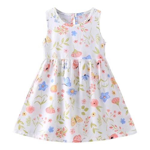 [veolaimy] q m[X[u s[X LbY ̎q   ʋC Wp[XJ[g K[Y ؍  vZXhX  vg 킢 hX WjA lC  ʊw ʉ i ][g Mtg(B-