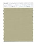 PANTONE Smart 15-0318X Color Swatch Card, Sage Green