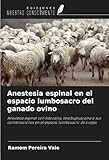 Ediciones Nuestro Conocimiento