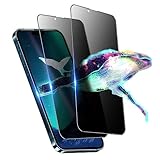 【覗き見防止/2枚入り】 iPhone14用 / iPhone13 Pro 用 / iPhone13用 ガラスフィルム覗き見防止 液晶保護 フィルム のぞき見防止 強化ガラス のぞき見 【耐衝撃/貼り付け簡単/指紋防止/9H/2枚入り】