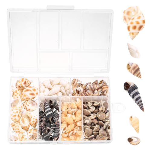 100 Pcs Coquillage Decoration, Coquillages Mixtes, Coquillages Marins Naturelles pour Décoration Nautique, Fête, Vases Aquarium, Remplissage Mariage, Arts et...