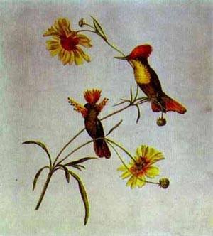 Peinture à l'huile Birds and Flowers 1820s Feodor Tolstoy, le cadeau idéal pour amateurs d'art