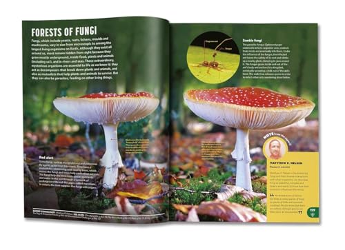 Image of Britannica All New Children's Encyclopedia