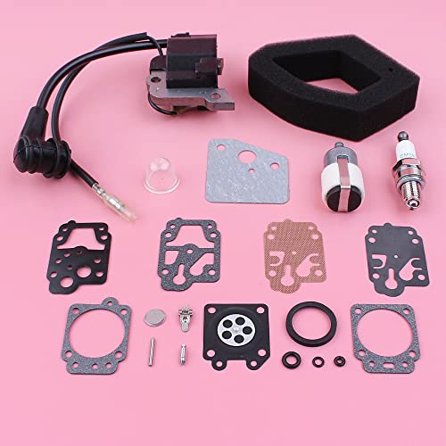 Bobine d'allumage et filtre à carburant GX35 pour un démarrage fluide