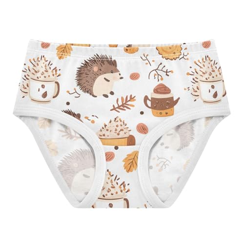 Wusikd Cute Hedgehogs Girls' Underwear Cotton Cookies Girls Briefs Soft Toddler Underwear 2T