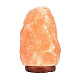 PULNDA Salt Lamp Himalayan Rock Lamp Glow Hand Carved Natural Crystal Amber Light with Dimmer Control (1 Pack)