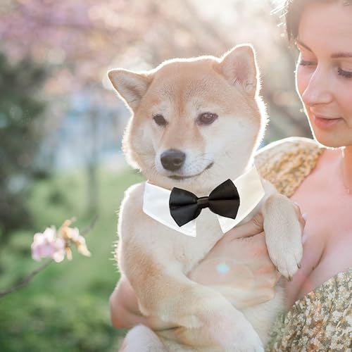 Image of Dog Bowtie, KOOLMOX Tux Dog Collar for Weddings with Handcrafted Adjustable White Collar and Black Tie, Classic Neck Tie for Small to Medium Dogs Cats Puppies Valentine's Costumes