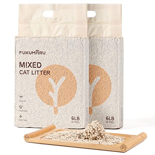 List of Top Ten Best Biodegradable Cat Litter [Top Picks 2023 Reviews]