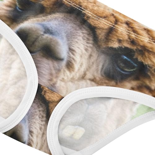 Cotton Toddler Girls Underwear Funny Alpaca Panties for Girl Fun Print Undies Kids Briefs 2t4