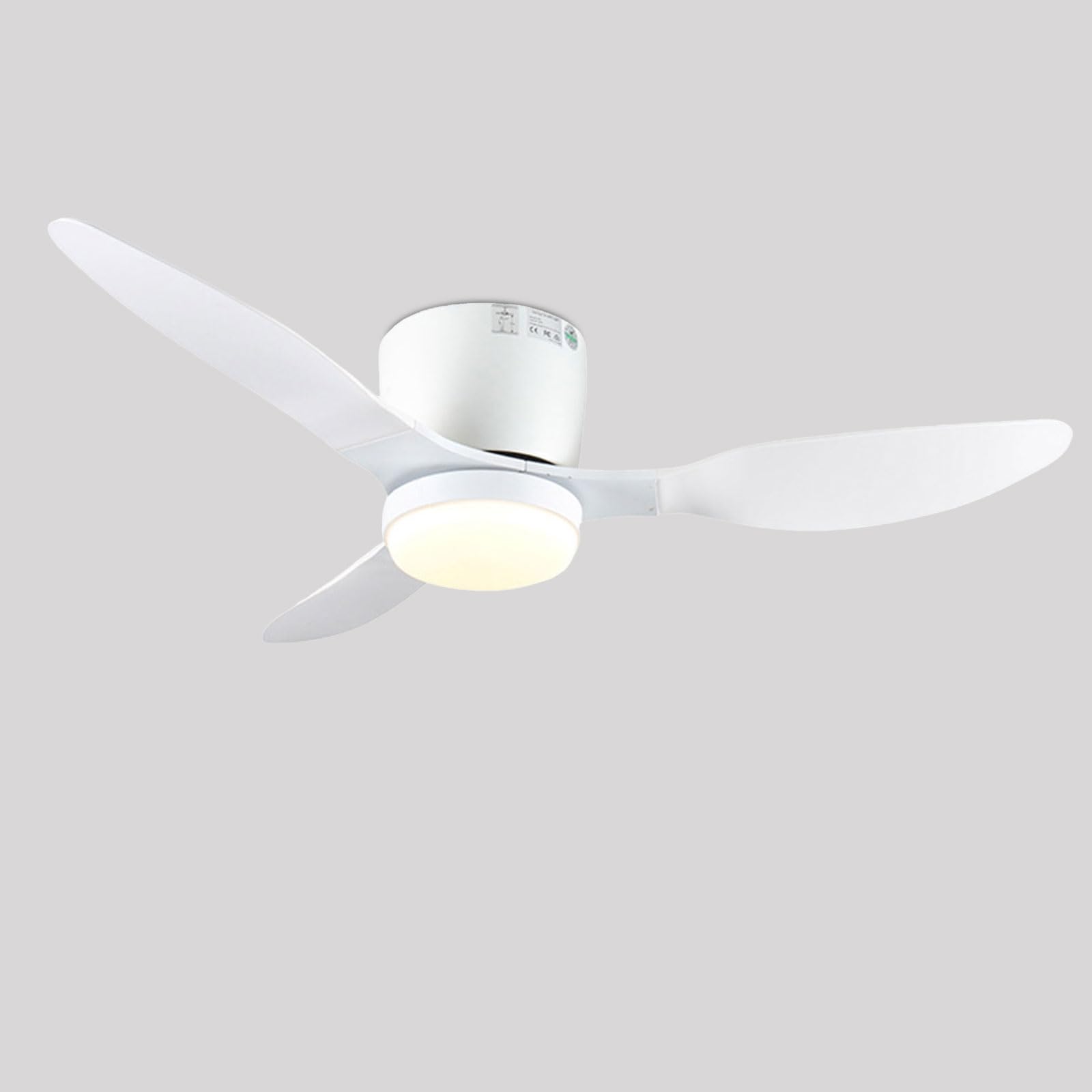 Ventilateur de plafond silencieux chambre grand séjour avec lampe variable