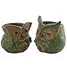 Ogrmar 6Pack Owl Plant Window Boxes Cute Owl Flower Pot/Modern Ceramic Succulent Planter Pots/Tiny Flower Plant Containers Animal Decor