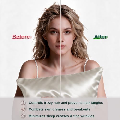 Image of LYSHIN Beige Silk Pillow Cases 2 Pack Standard Size with Zipper | 19 Momme Mulberry Silk Pillowcase for Skin and Hair, Anti-Acne, Hypoallergenic, Cooling, Beauty Sleep, Gifts for Women