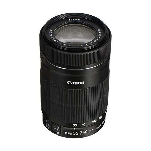 Canon EF-S 55-250mm F4-5.6 is STM