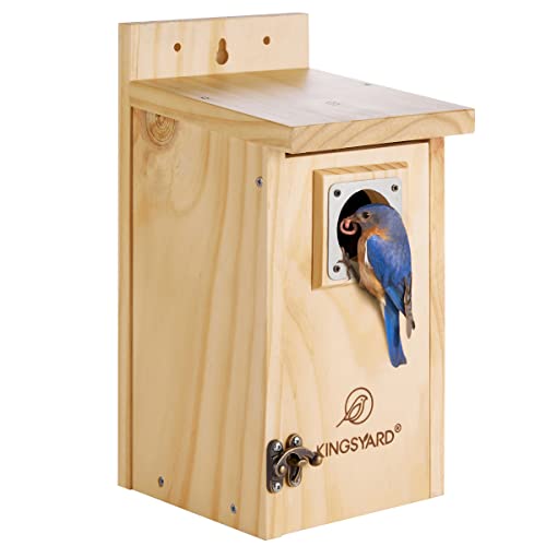 Kingsyard Blue Bird House for Outdoors - Classic Wooden Bluebird House Durable Wall-Mounted Birdhouse with Predator Guard for Bluebirds Titmice Chickadees Nesting Birds, Wood