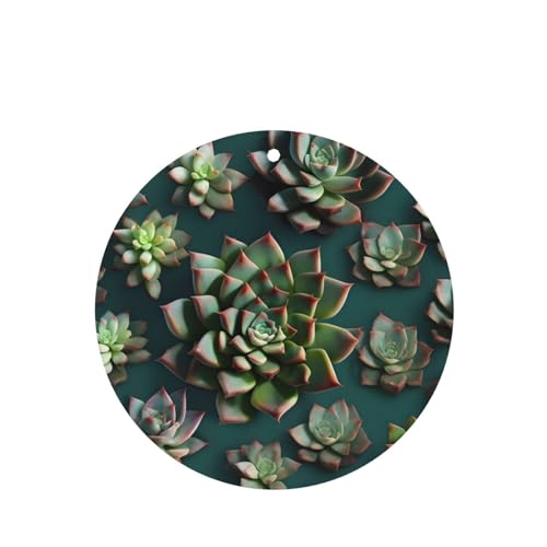 Hojas aromáticas para auto Many succulents miniatura 1