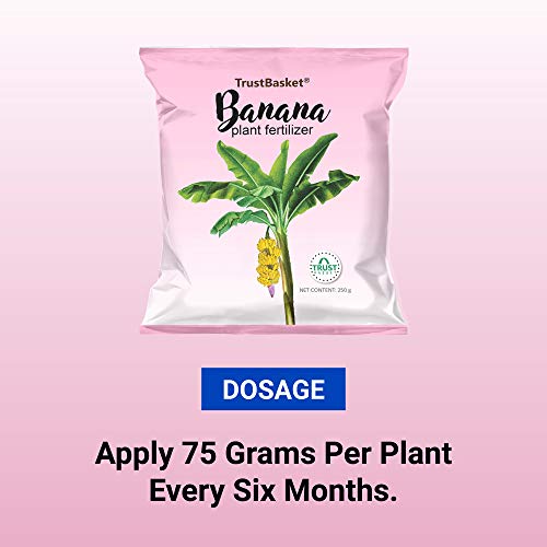 TrustBasket Banana Plant Fertilizer(250 gm) - Set of 2