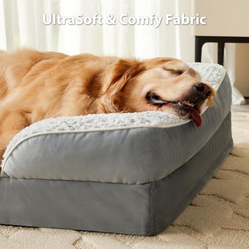 Orthopedic Dog Beds