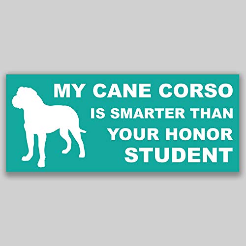 JMM Industries My Cane Corso is Smarter Than Your Honor Student Vinyl Decal Sticker Car Window Bumper 2-Pack 7.5 Inches by 3 Inches Premium Quality UV Protective Laminate PDS1158