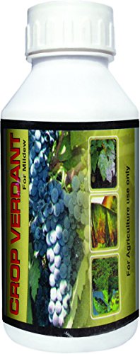 Atkotiya Agro Crop Verdant Fungicide 100ml (Pack of 2)