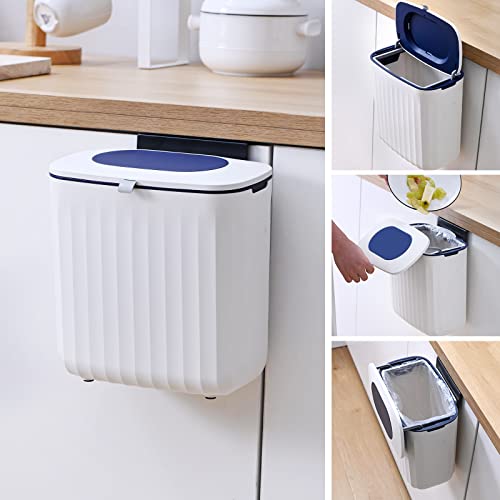 How to get rid of compost flies in house How to get rid of compost flies in house