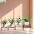4 Packs 19 in Heighten Trellis for Climbing Plants Indoor, HENABLE Small Garden Metal Trellis for Potted Plants Outdoor for Vine Ivy Flower Plant Support, 4 Different Black Iron Patterns