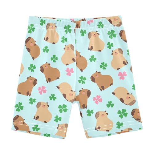 Capybara with Lucky Clover Blue Girls Shorts Elastic Waist Sports Shorts Girls Leggings Pants for 4-10 Years