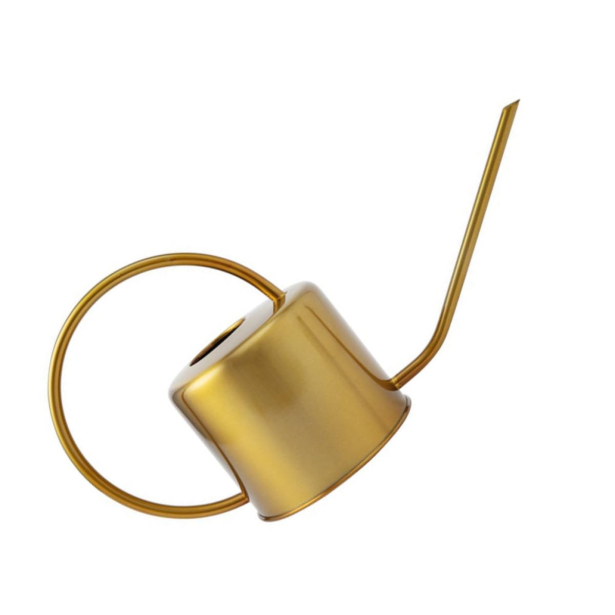 Housoutil Arrosoir en Acier Inoxydable Doré 1300ml Antirouille et Étanche pour Jardinage à Domicile, Arrosoir Classique à Long Bec pour Amateurs de Jardinage