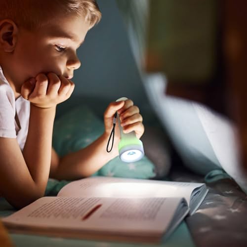 Lampe de poche LED camping et randonnée : lot de 12 mini torches étanches et réglables