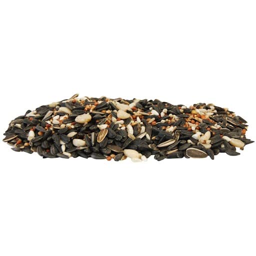 Wild Bird Seed Mix, Deluxe Blend with Fruit, 10 lbs.