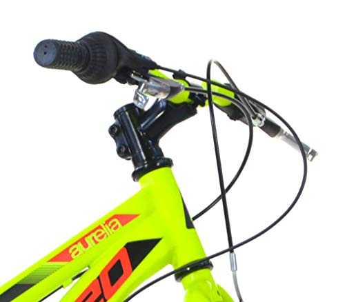 giordanoshop Aurelia