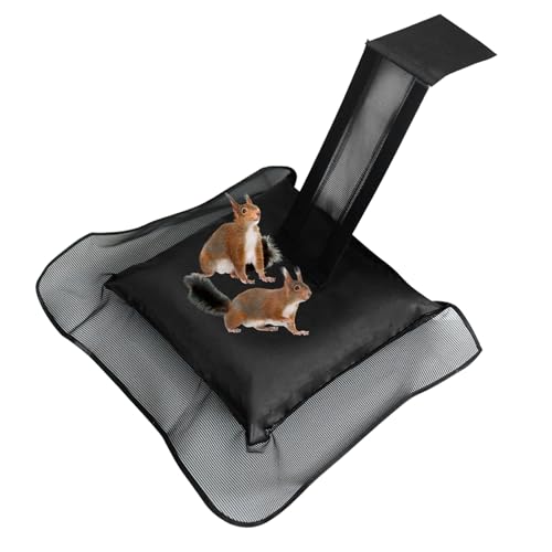 QIANAI Tiersparende Fluchtrampe für Pool, Critter Escape Ramp, Kleintier Swimming Fluchtrampe, Pool Rettungsrampe Tierrampe, Retten Frosch, Ente, Streifenhörnchen, Maus und Andere Tiere(Schwarz)