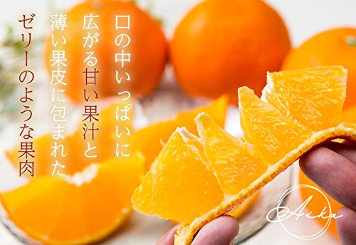 Amazon.co.jp: New Year's Day Gift, Mikan Oranges, Aika, 3.3 lbs