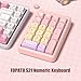 FOPATO NumberPad,21Keys HotSwappable Numpad,Bluetooth5.0/2.4G/Type-C Wireless Numeric Keypad,Rechargeable Number keypad,RGB Gasket Structure Mechanical Keyboard with PBT Keycap for PC Laptop Notebook