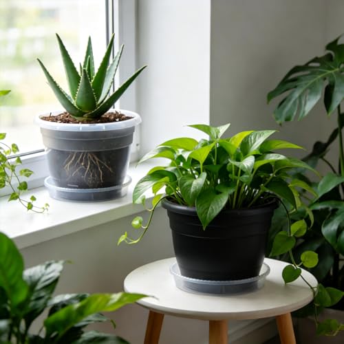Image of RooTrimmer 10 Pack 8 Inch Clear Nursery Pots with Drainage Holes & Saucers